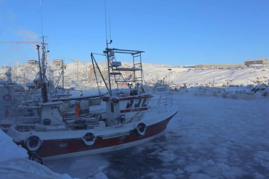 格陵兰为什么要脱离欧盟