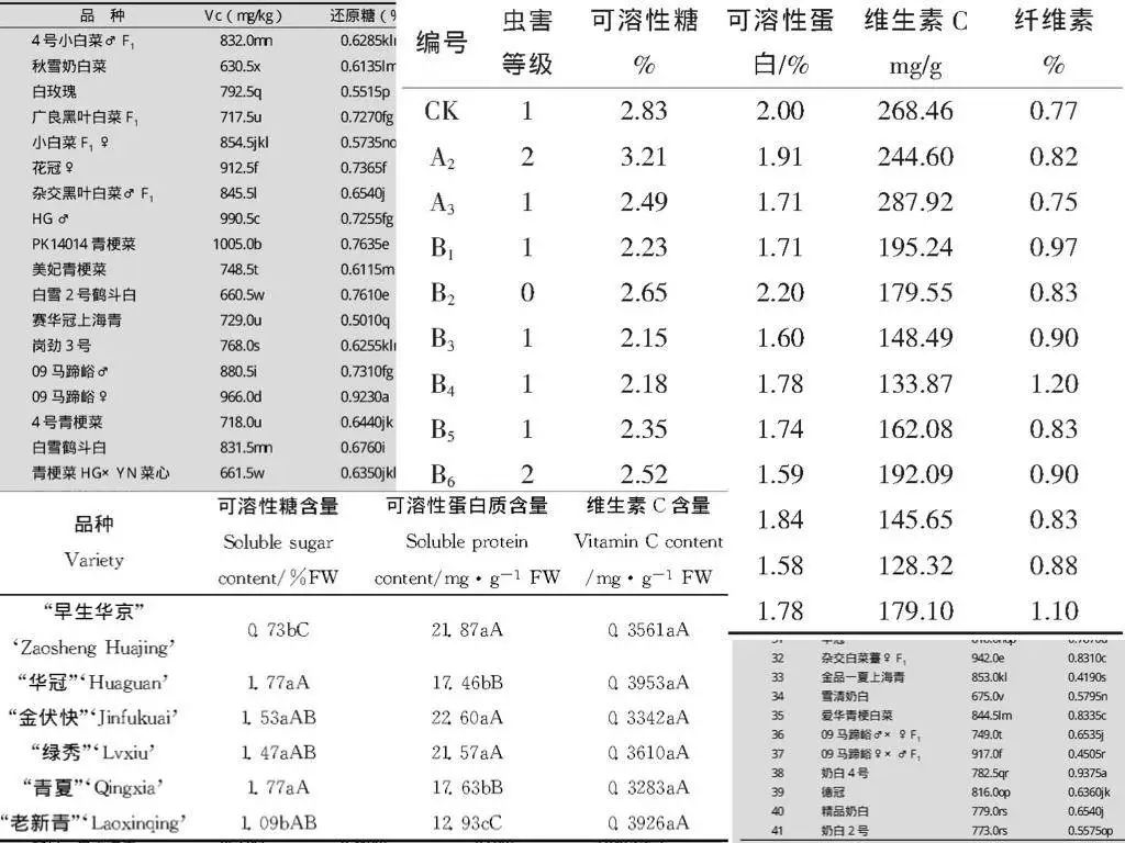 和南方人说清什么是“小白菜”真的太难了