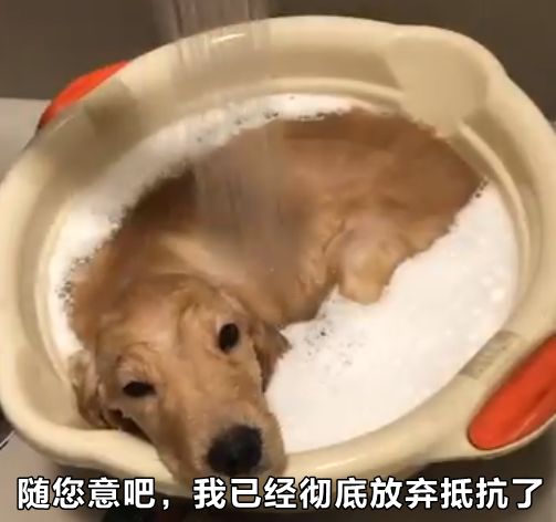 亲戚总爱问毕业工作谈恋爱了没？是不是故意恶心人