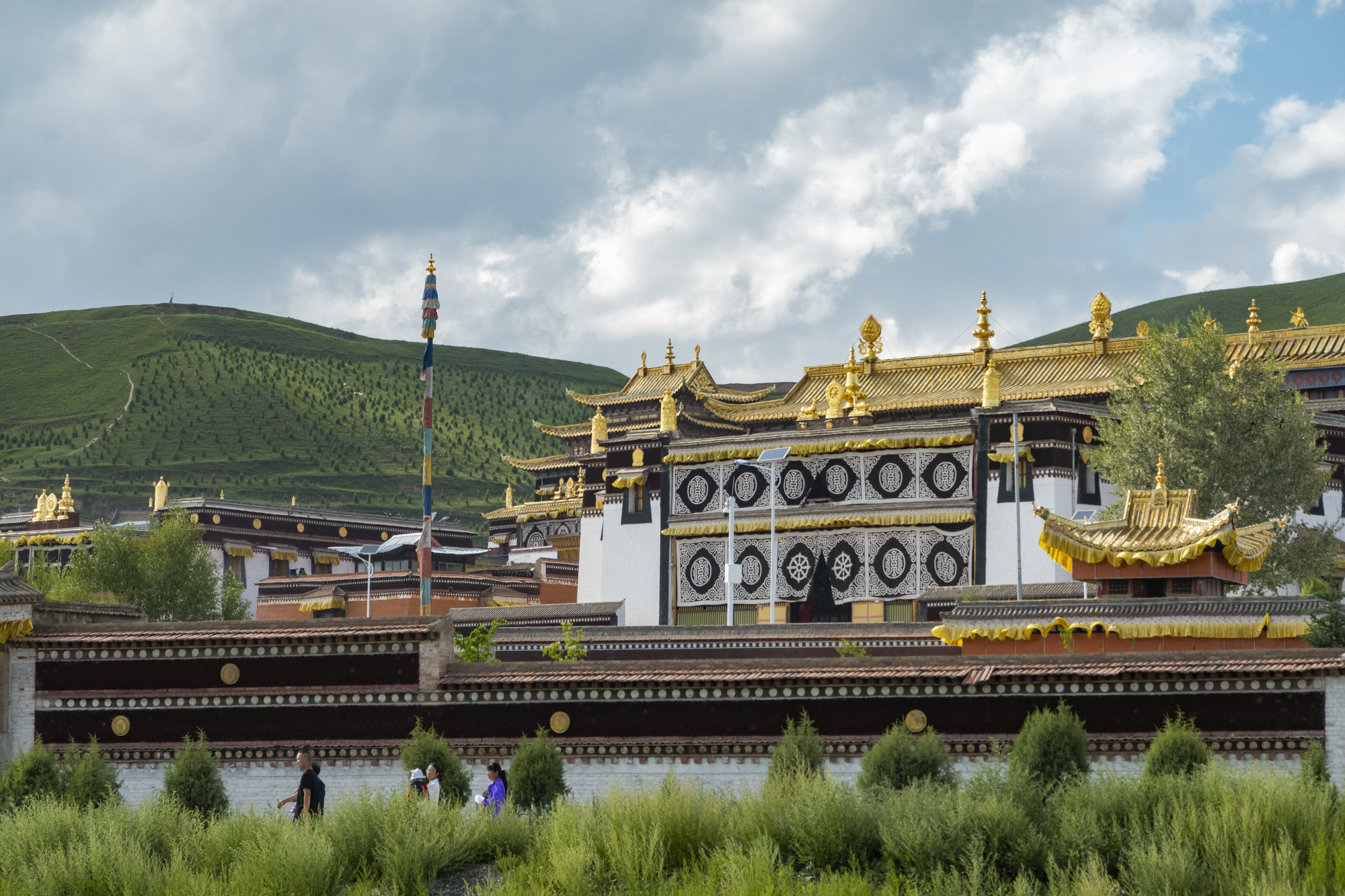 八月最佳旅行地,"绝色甘南"美成仙境,所有景区免