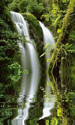 伴随着成功的自信 伴随着失败的悔悟 最后你将会明白 生命的丰盈在于