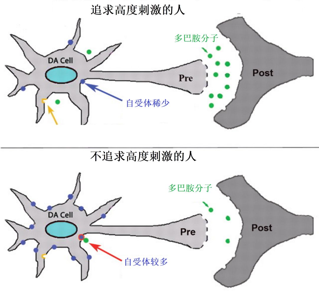 人是世界上最无聊的动物｜大象公会