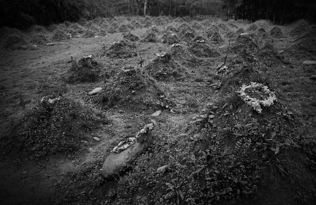 那些因人类的迷信娱乐贪婪，给野生动物带来的苦难