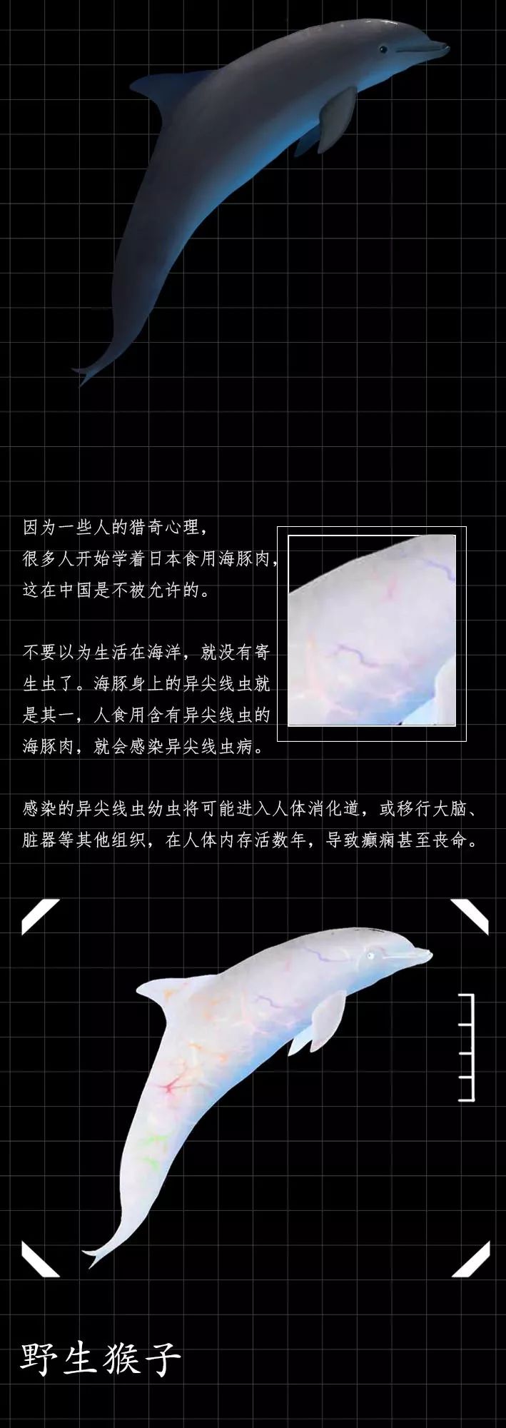 隐藏的「病毒携带者」曝光（赶紧举报）