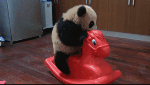 为了学四川话，这个日本姑娘拼了