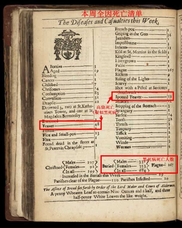 祖传老西医，专治黑死病