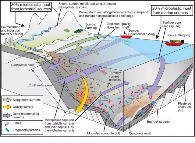 塑料 海底 海洋 洋流 深海 沉积物 纤维 微塑料 生态系统 热点
