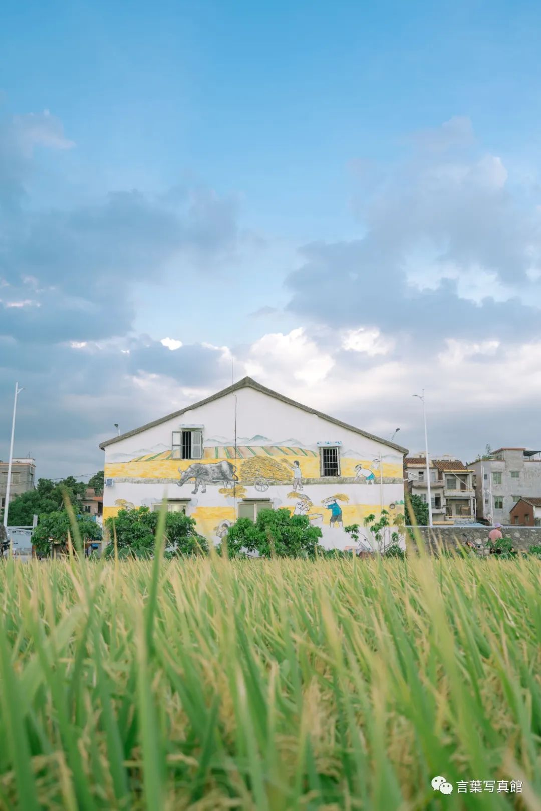 地址:东莞市茶山镇上元稻田公园