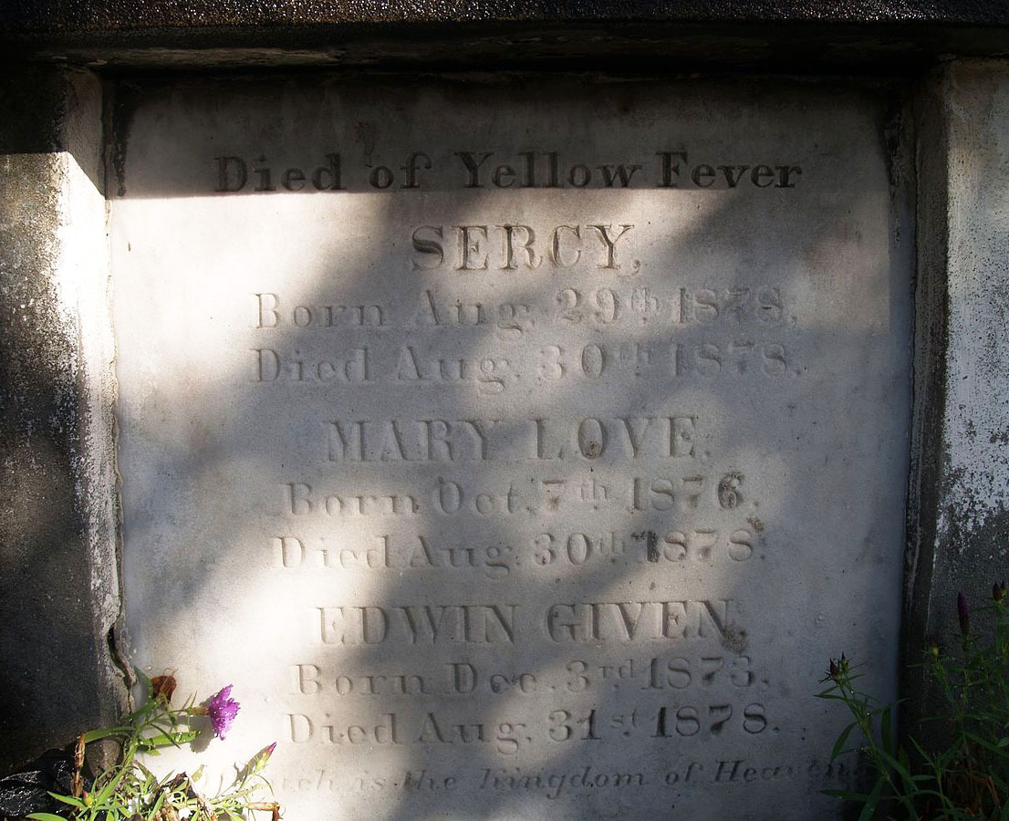 传染病上战场，比炮弹更凶猛 | 地球知识局