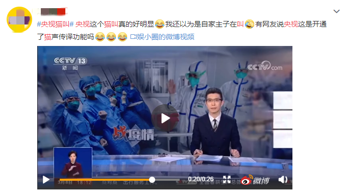 时评：央视猫叫