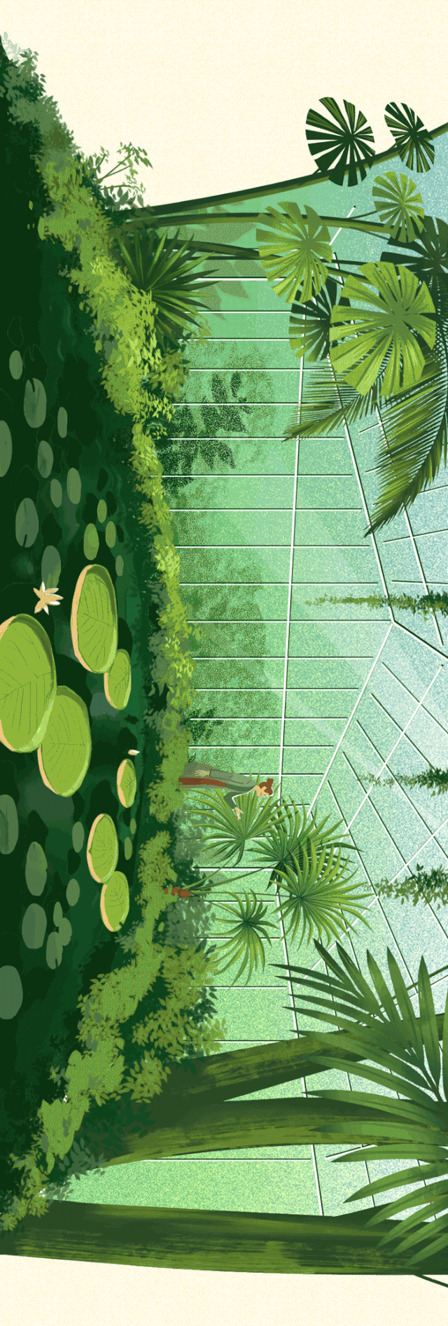 策划:fine 编辑部 编辑:lilian,morain 插画:赵小皮 动效:sleepy