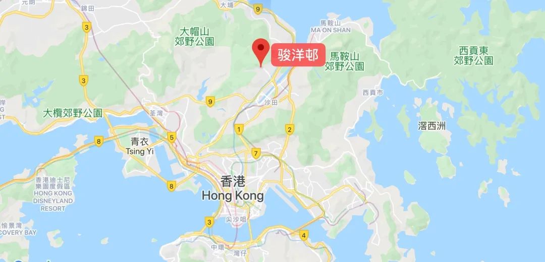 逆行四十日，香港摄记的武汉故事