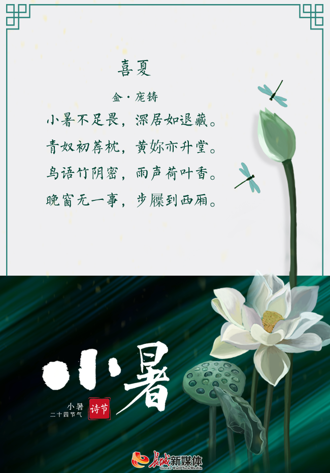 小暑诗节丨雨滴飞落,打碎满塘荷香