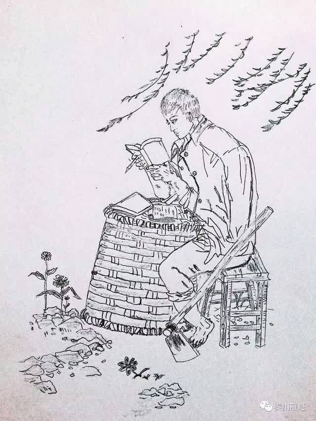 秦晖：我的治学之路