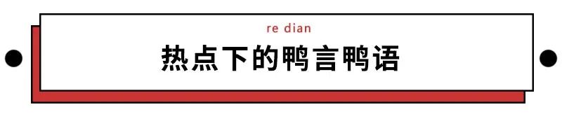 浙江10万只鸭子上热搜后，炸出一大批中国鸭迷