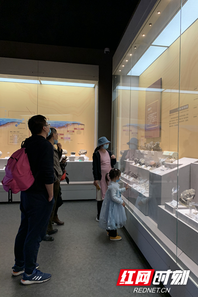 清明假期,不少家长带着孩子参观湖南省地质博物馆.