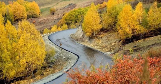 如果可以，一定要去新疆走一走，体会它的千种风情，万种风光（最新发布）