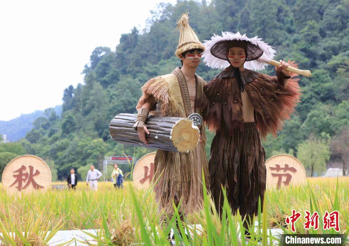 t台搬进稻田张家界上演稻田创意时装秀