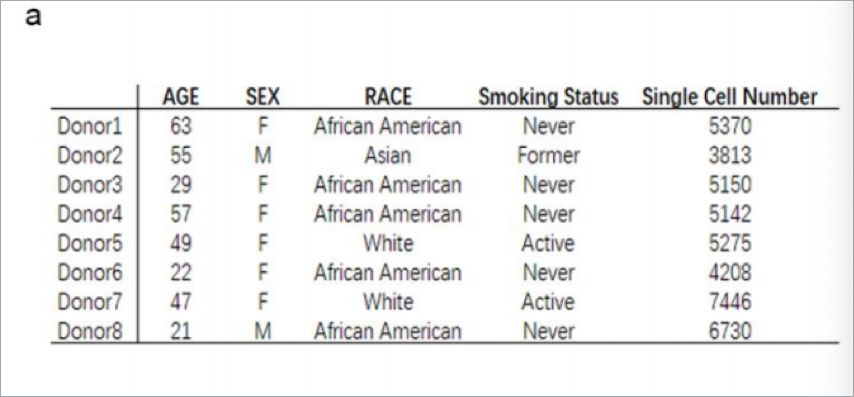 造一个病毒有多难|大象公会