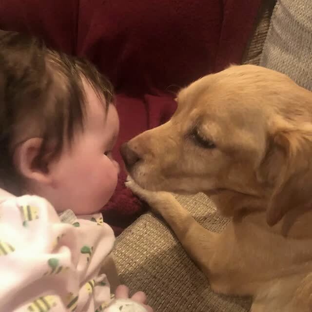 那天夜里，她闯进了陌生人的家……