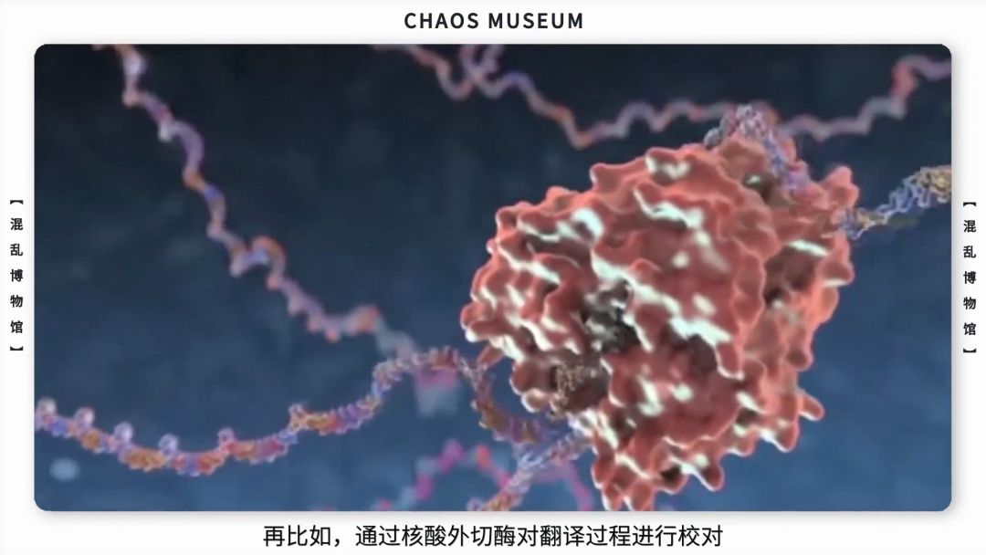 病毒是如何欺骗你的| 混乱博物馆