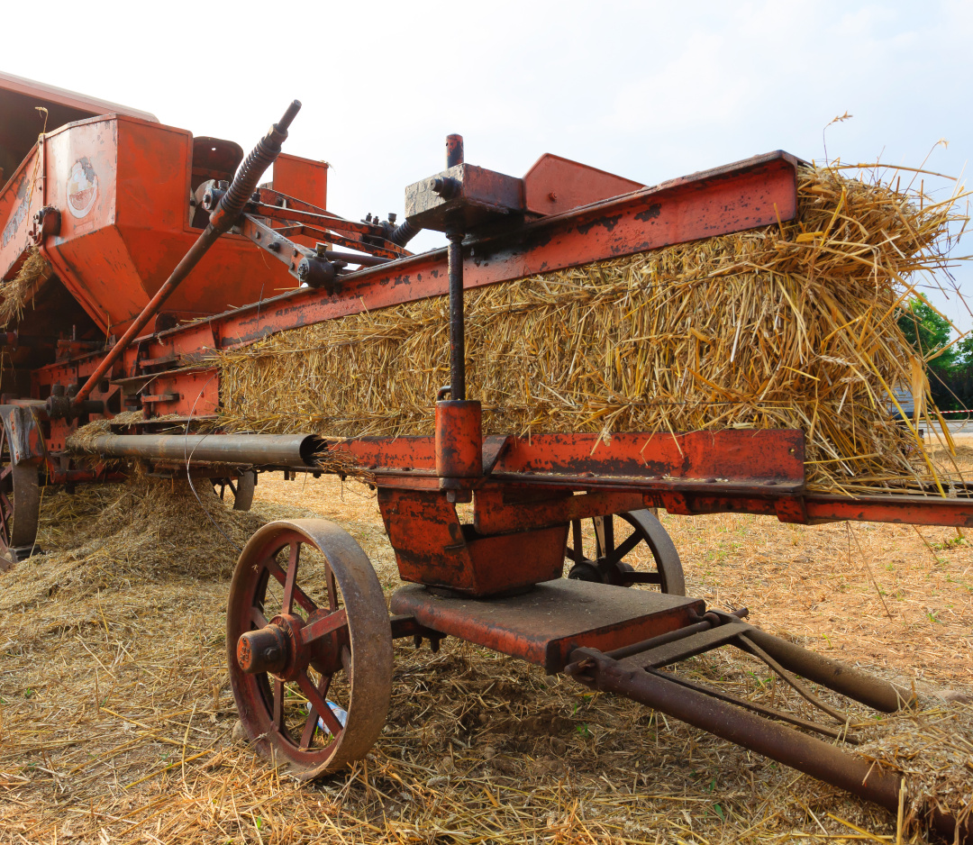 农村烧秸秆为何屡禁不止？ |　地球知识局