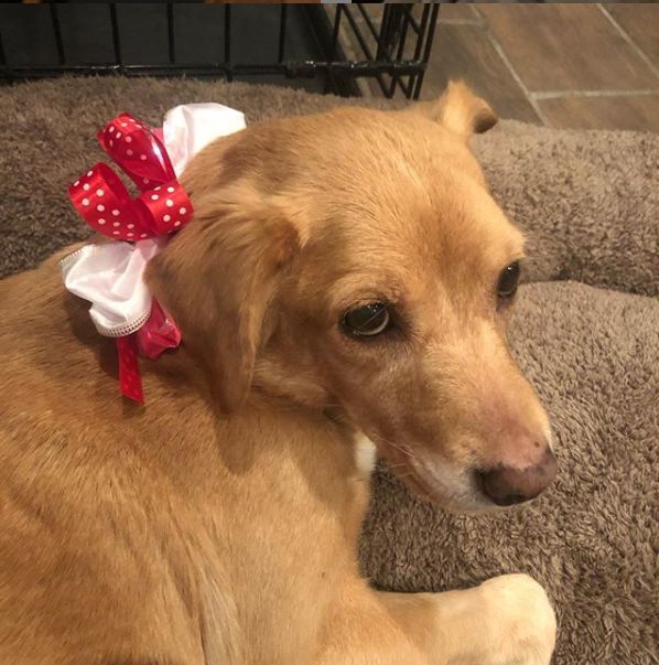 那天夜里，她闯进了陌生人的家……