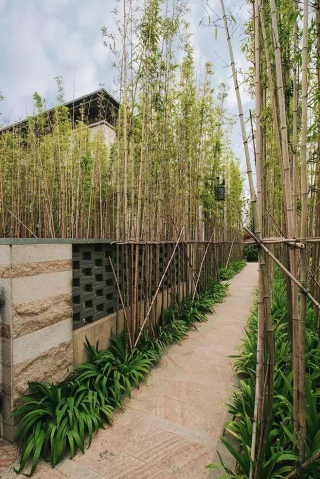 以竹造景,借景,障景, 或是用竹点景,框景,移景, 竹林为主的庭院景观