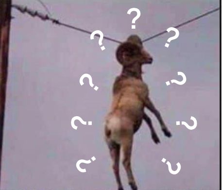 911武汉疫情为啥总有人相信是美国人的惊天大阴谋