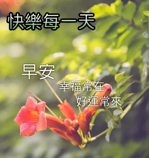 非常漂亮的早安动态表情图片,早上好发朋友圈动态祝福