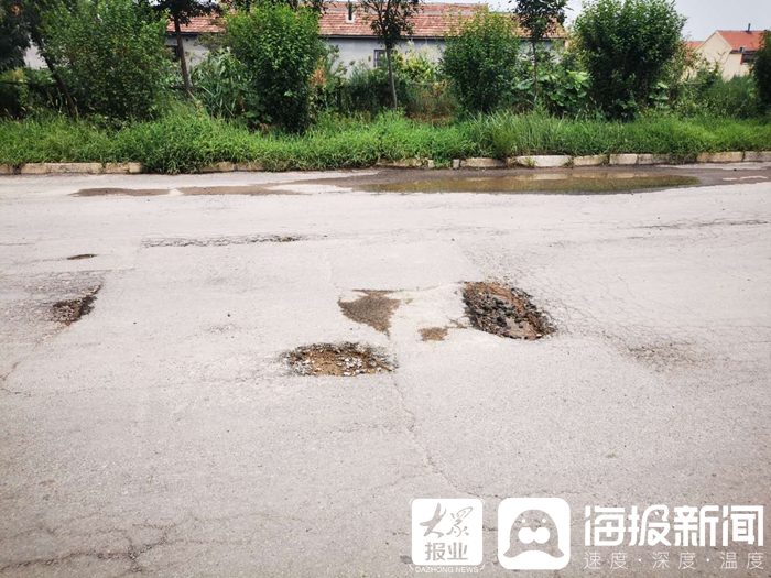 新闻啄木鸟丨河口一道路坑坑洼洼 市民反映开车像蹦迪