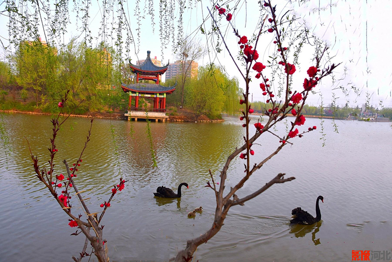 邯郸广平东湖