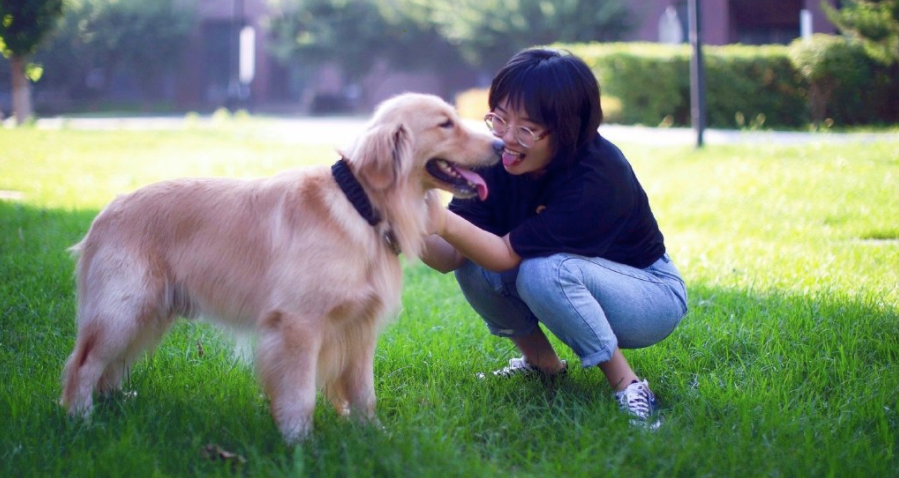 当女人们开口讲段子