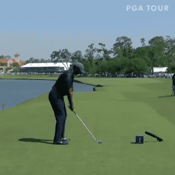 高尔夫 350_350 gif 动态图 动图