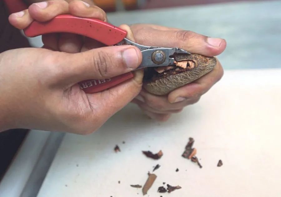 这万年冷门的南洋菜式，太惹火了