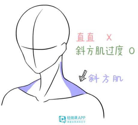 怎么画出动漫男生头颈肩?要注意什么呢?