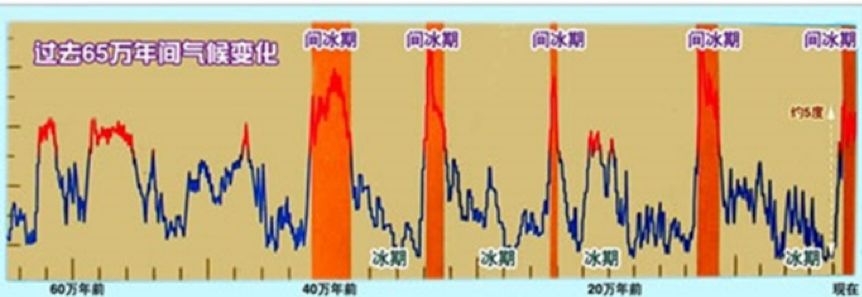 演化还是灭绝：第六次生物大灭绝开始了？