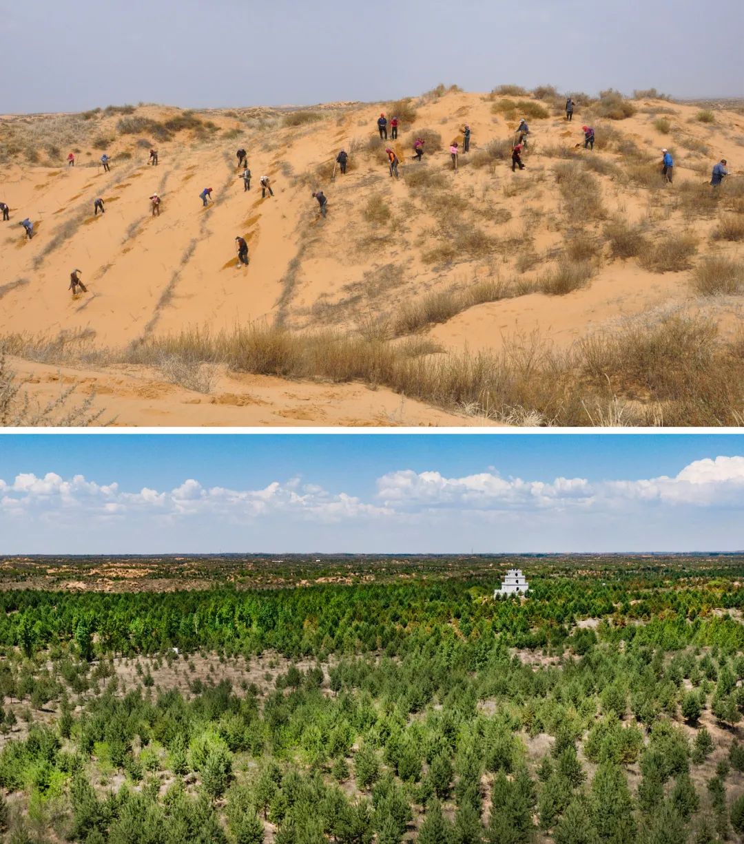 70年 vs 1000年,毛乌素"沙漠"真的消失了吗?|草地·神州风物