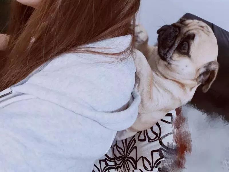 疫情之下在家办公，爆笑职场人窘态百出