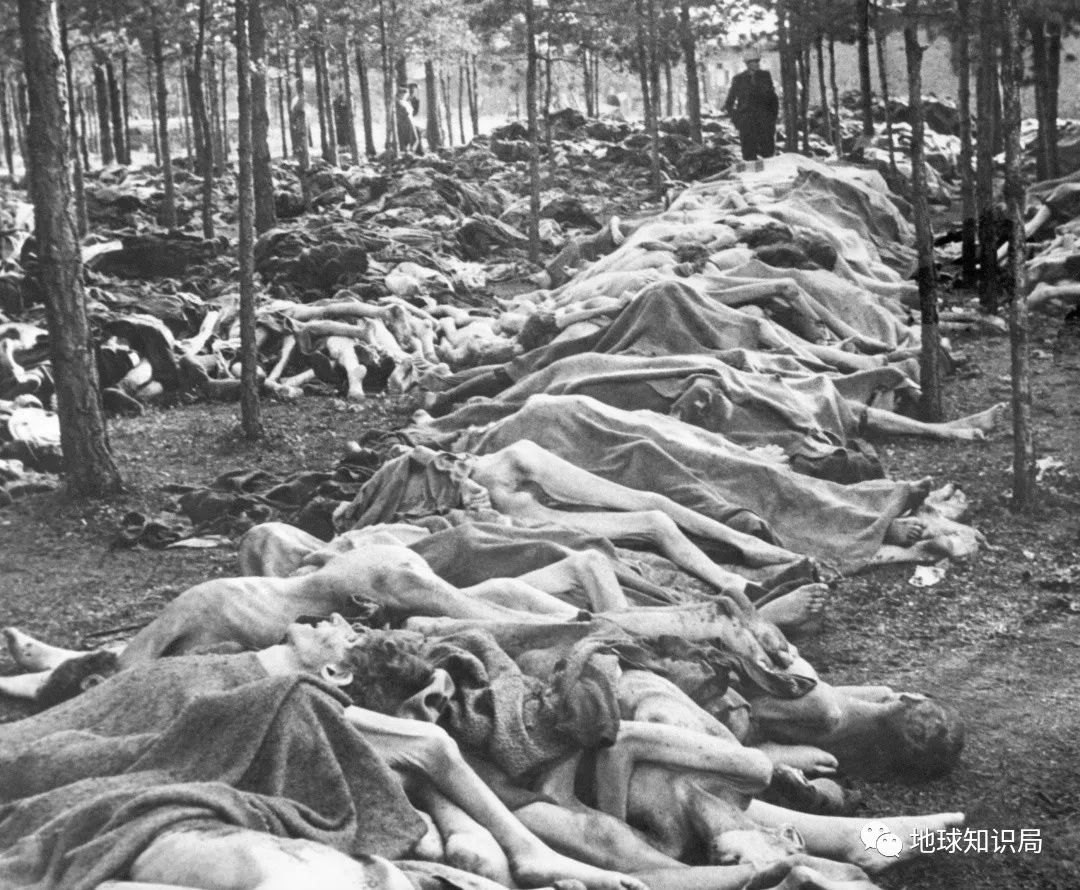 百年来最凶猛传染病，如何从天灾变成人祸？