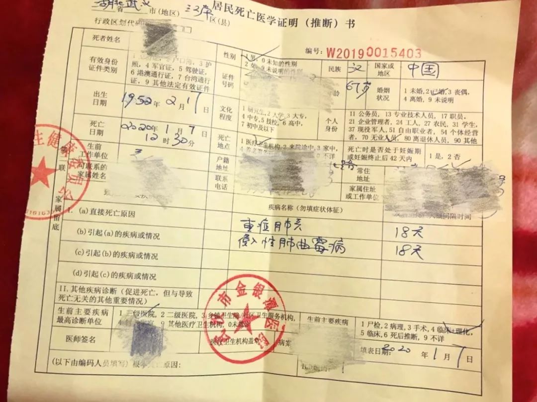 死亡证明上,王壮壮的直接死亡原因为"重症肺炎".图/受访者提供