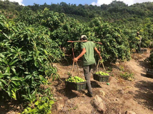 北京商业战疫报告|电商篇:滞销到爆款 打通小微企业生命线(最新发布)