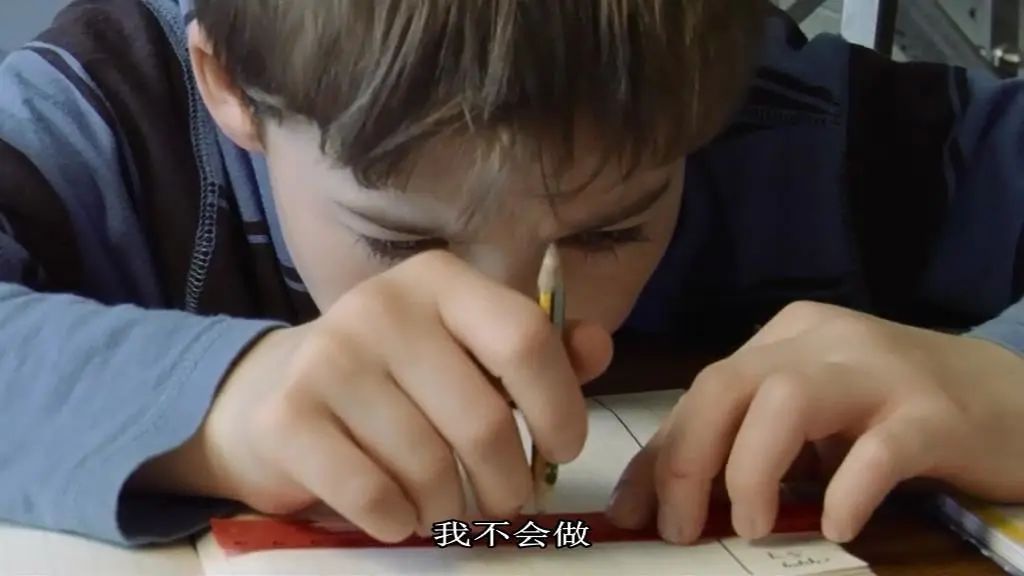 挪威人拍的这部纪录片,也太治愈了吧