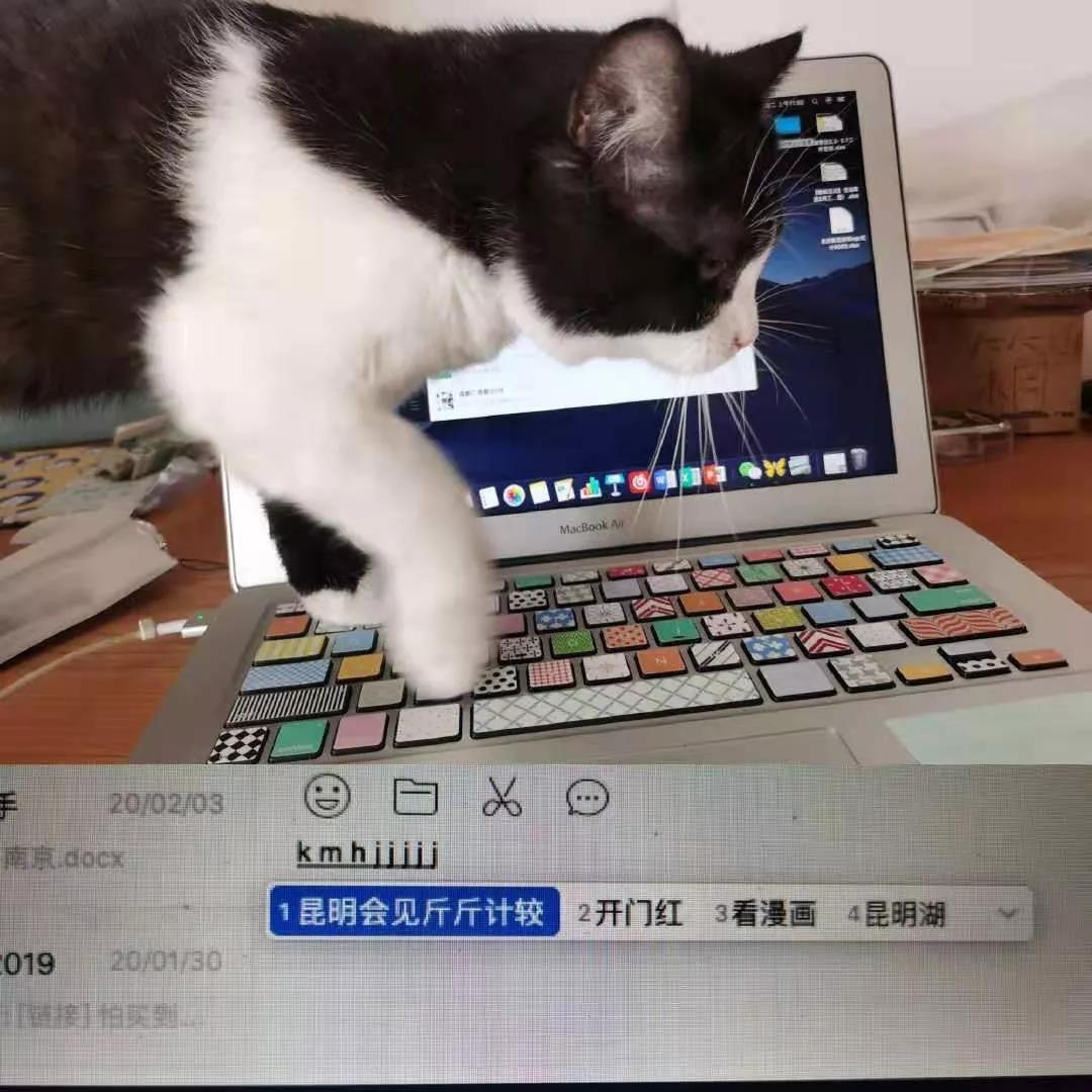 疫情之下在家办公，爆笑职场人窘态百出