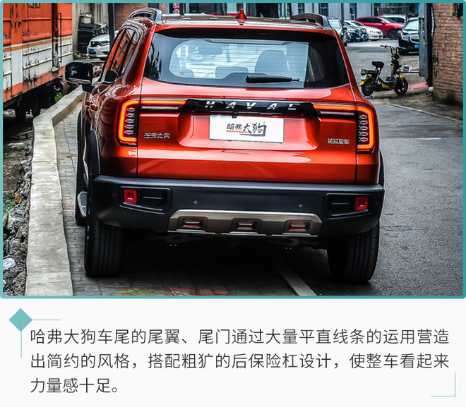 众多大型犬中只有边牧最超值,哈弗大狗购车手册_凤凰网汽车_凤凰网