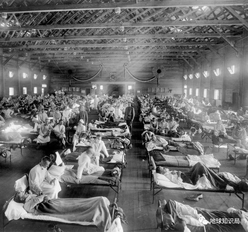 百年来最凶猛传染病，如何从天灾变成人祸？
