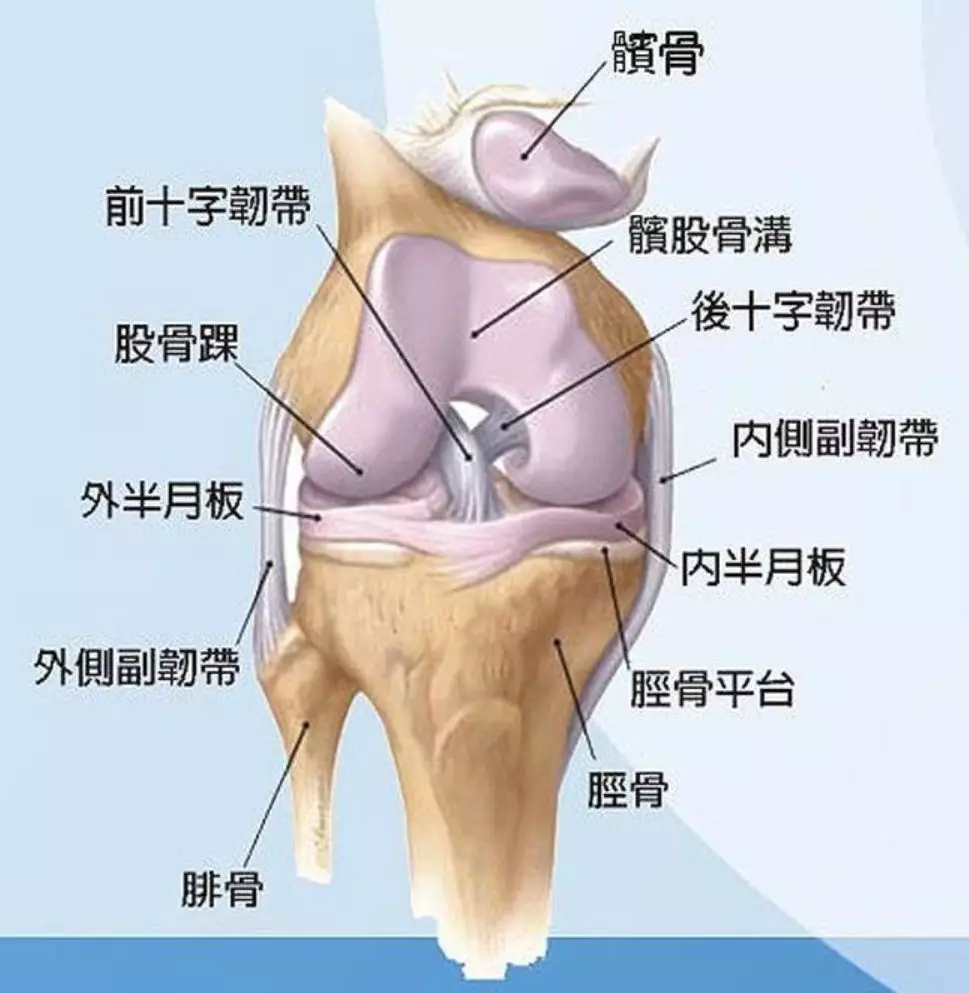 中老年膝盖疼是怎么回事?-健康百科