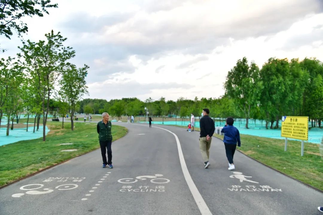 今天你廊道了吗?洱海生态廊道,给你不一样的诗意大理