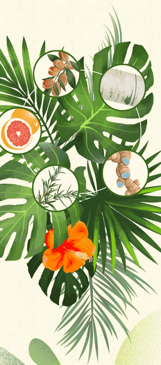 策划:fine 编辑部 编辑:lilian,morain 插画:赵小皮 动效:sleepy