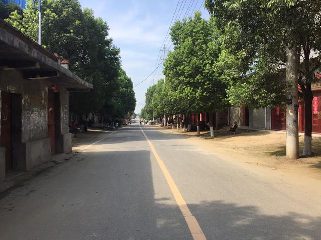 桐柏县黄岗镇开展街区环境卫生综合整治活动扮靓街区